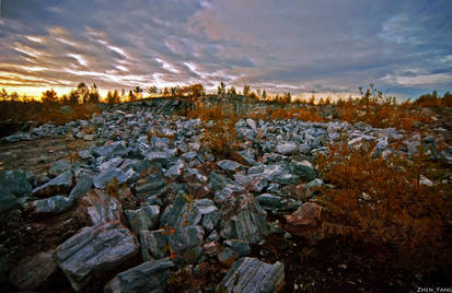 Marble Garden