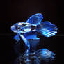 Crystal Fish - Blue