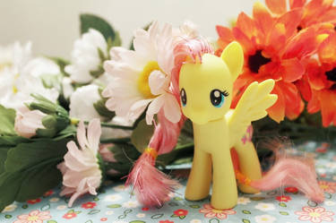 Fluttershy