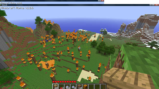 Minecraft Hell Fields