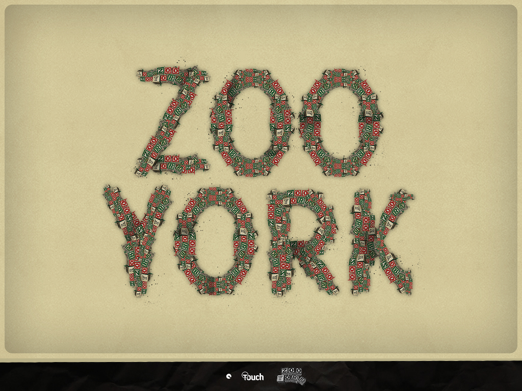 Zoo York Type