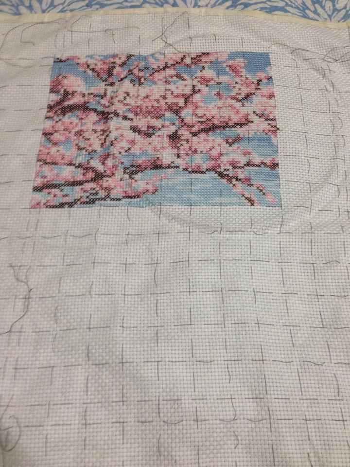 WIP Olympus 7386 Mt Fuji and Cherry Blossems