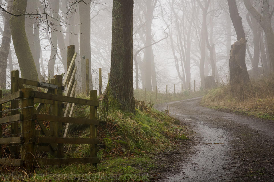 April Mist April Mist II by VelesPhotos on DeviantArt
