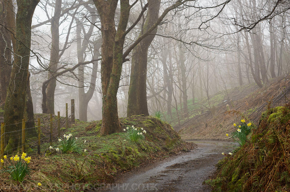 April Mist April Mist I by VelesPhotos on DeviantArt