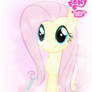 MLP Fluttershy Card Sleeve