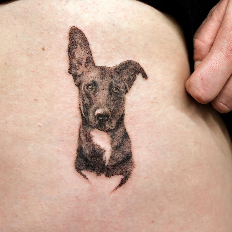 small dog tattoo by sameoldkid on DeviantArt