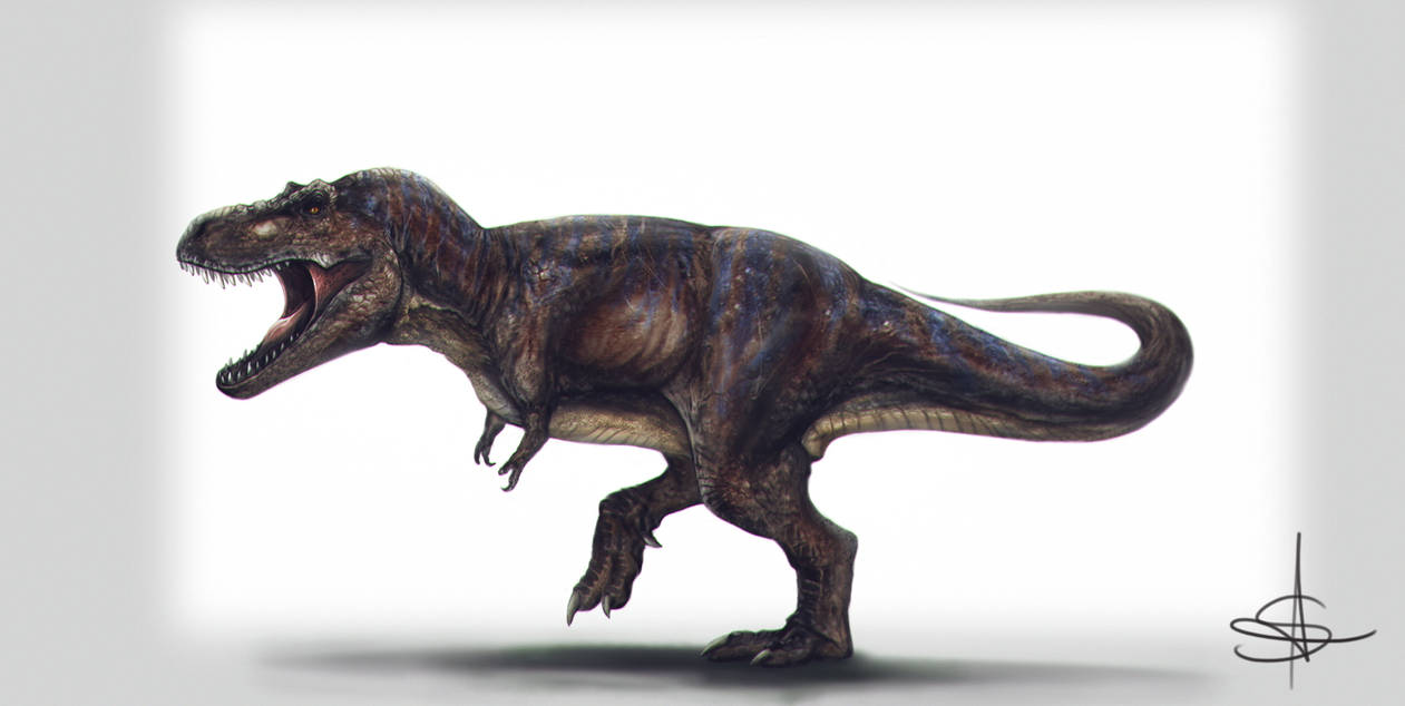 Absolute Rex Rex by satsume-shi on DeviantArt
