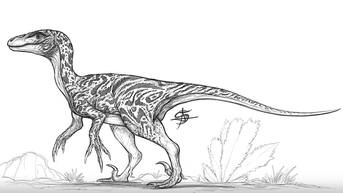 Featherless Raptor #Dinovember 2019 by satsume-shi on DeviantArt