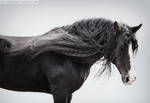*** by Alla-equi