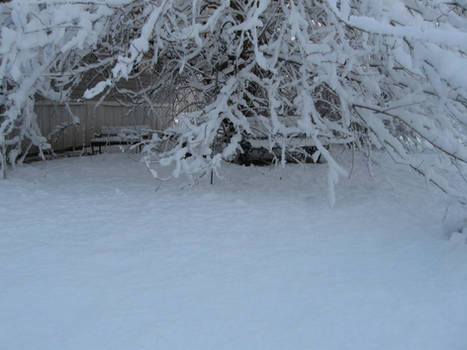 A blanket of white