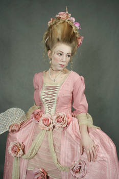 Rococo- Marie Antoinette style