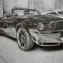 Shelby