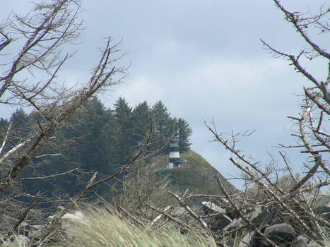 Lighthouse through the trees