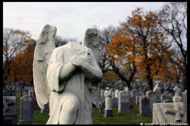 Second Calvary Cemetery 5