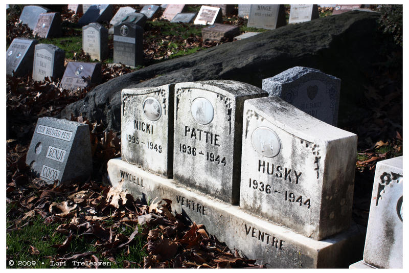 Hartsdale Pet Cemetery 3