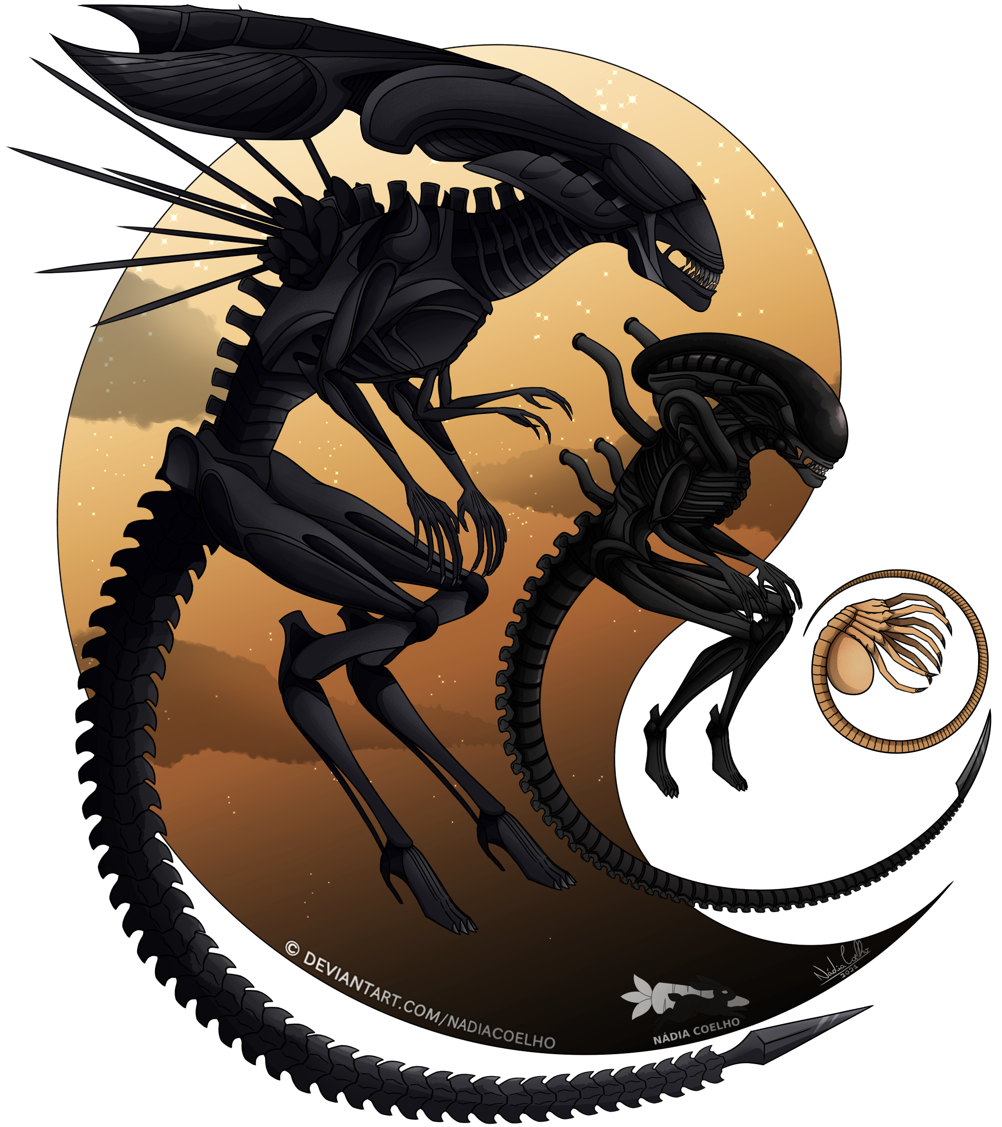 Aliens - Xenomorph 3 Life Cycle Stages by NadiaCoelho on DeviantArt