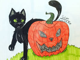 Day 29: Cat with Pumpkin 