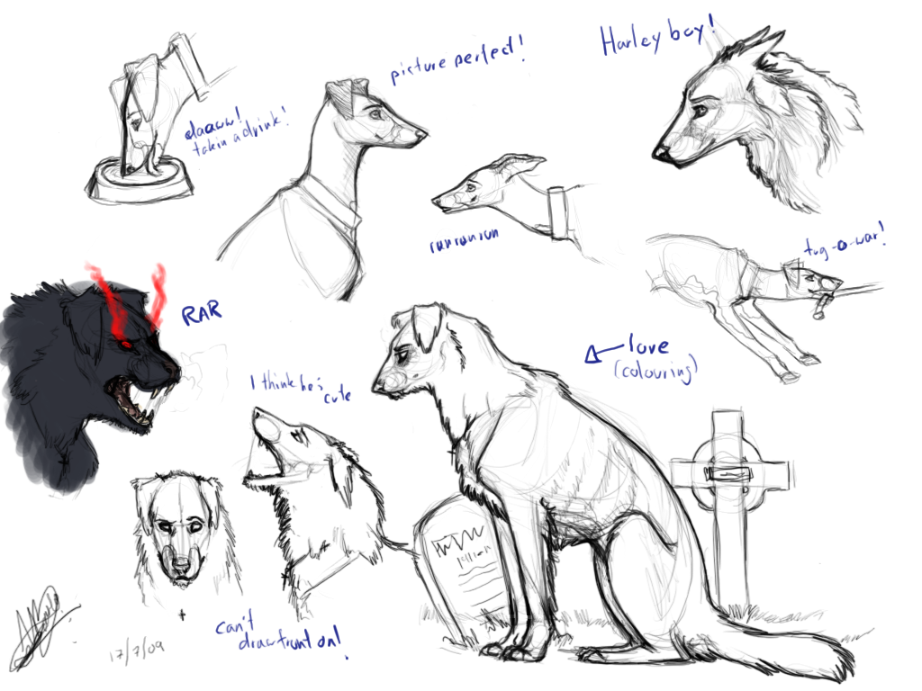 Sketchdump1: Canine