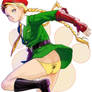 Cammy's Panties