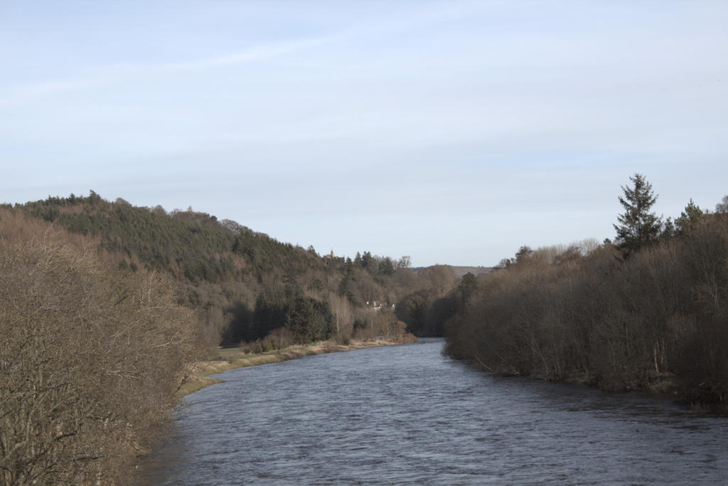 The river snake by KM-Rasco on DeviantArt