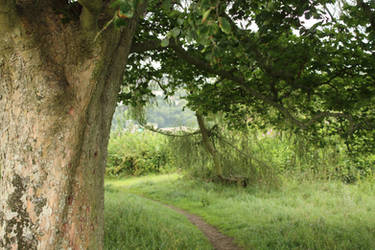 KM-Rasco - Hobbyist, Writer | DeviantArt