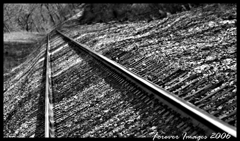 On the train tracks