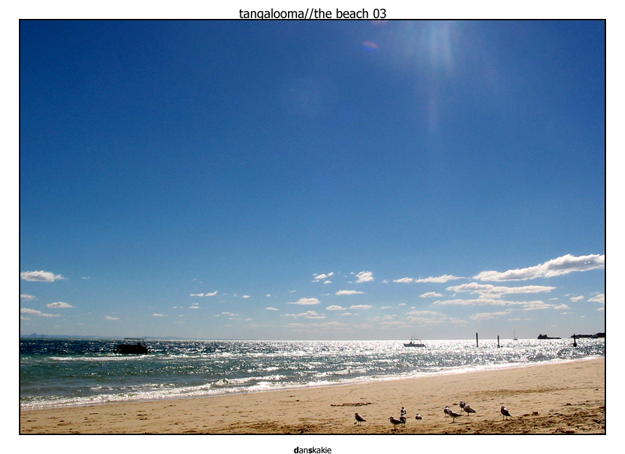 Tangalooma - The Beach 03