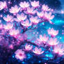 Dreamlake Sakura Blossoms