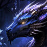 Midnight Omen Dragon
