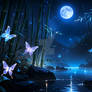 Midnight Serenity