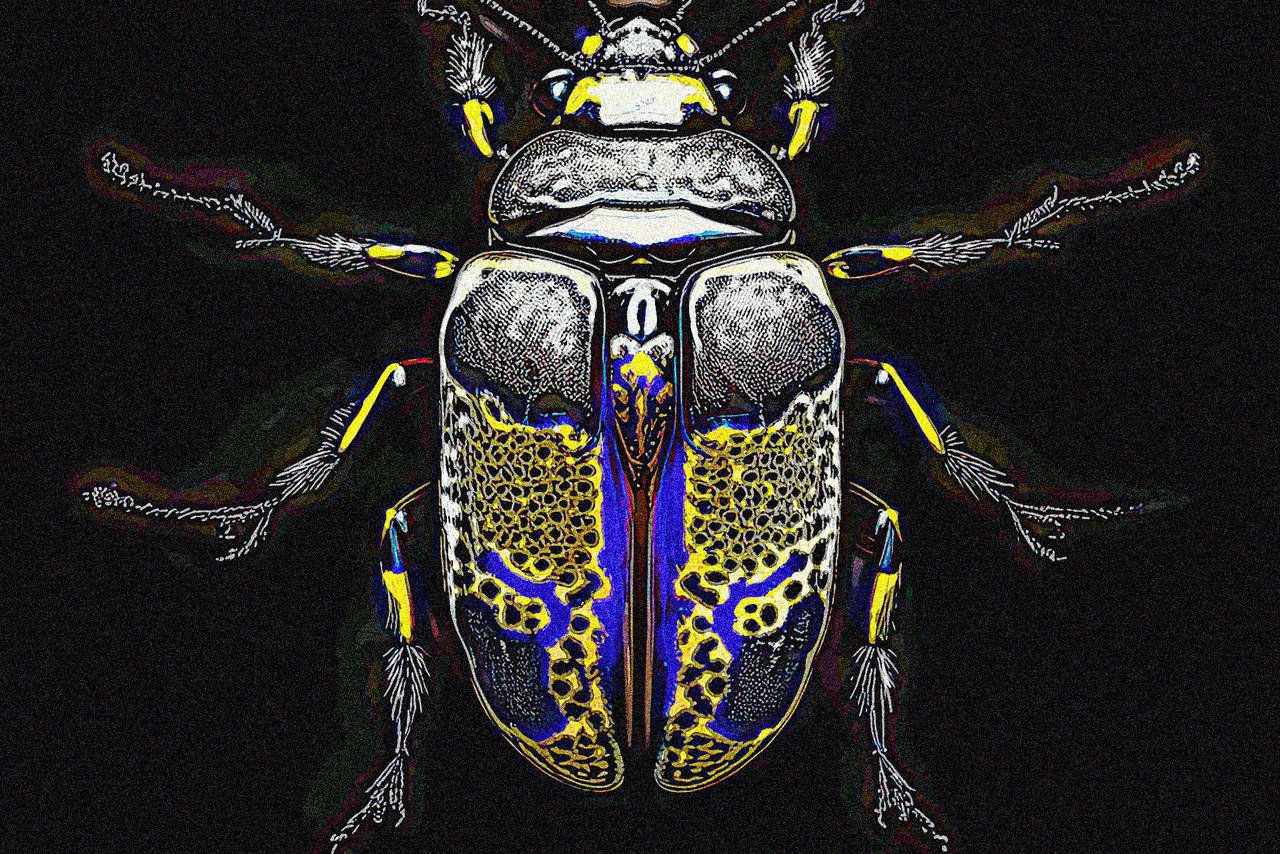 Insectoid Drawing Insectoids of Iaon, No. 7 by EmergingfromtheVoid on DeviantArt