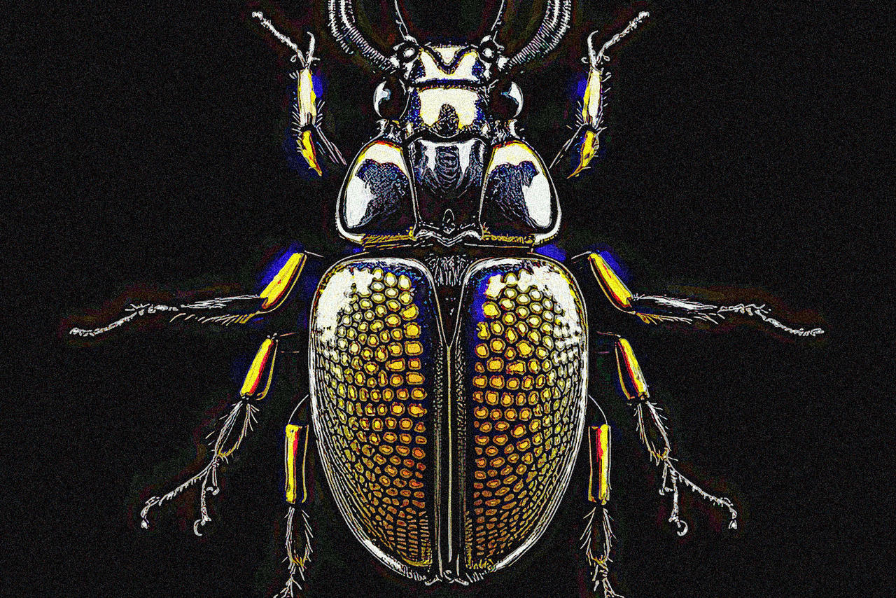 Insectoids of Iaon, No. 9 by EmergingfromtheVoid on DeviantArt