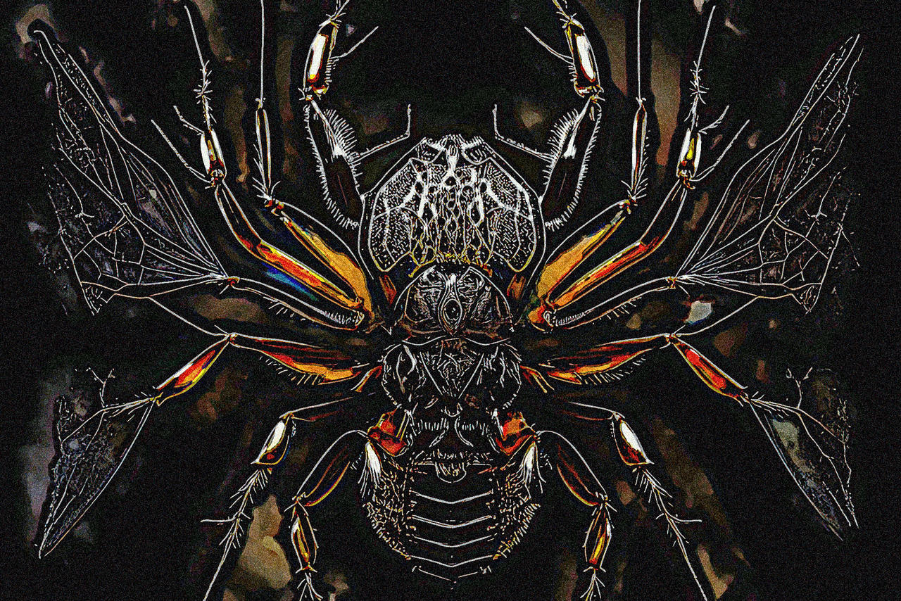 Insectoid Deviantart Insectoids of Iaon, No. 15 by EmergingfromtheVoid on DeviantArt