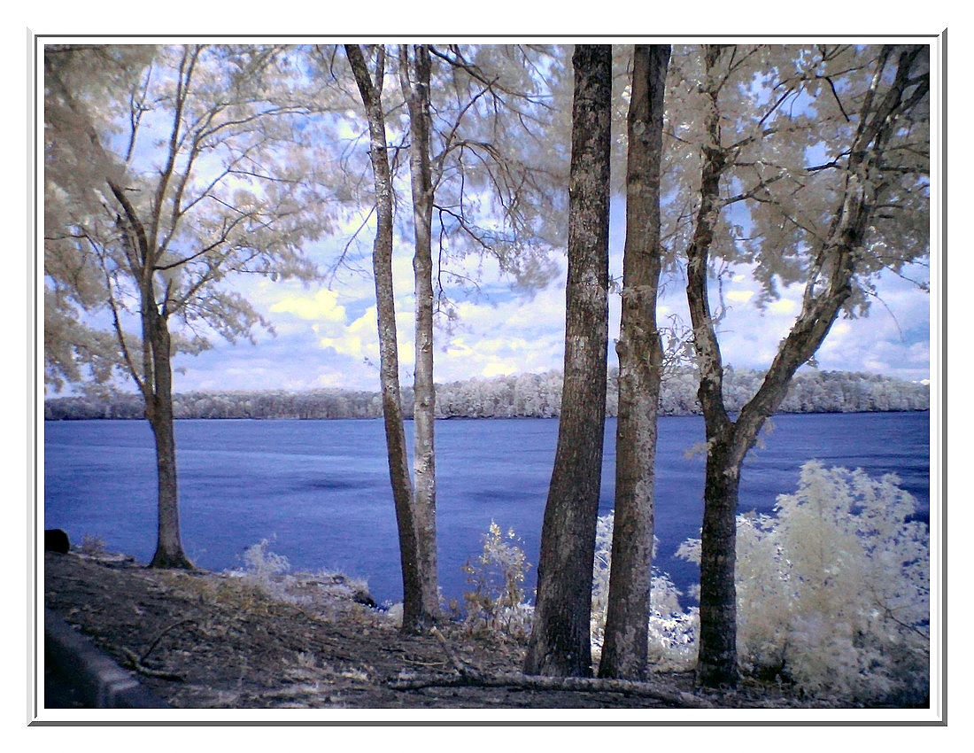 Water, Trees, and Sky 2