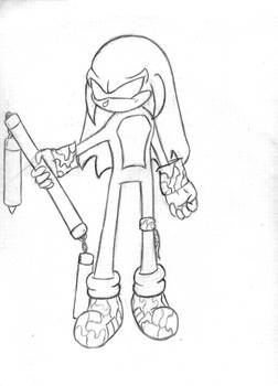 Dash The Echidna