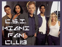 CSI miami