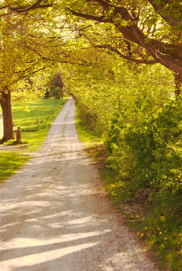 Summer Season Path Path of Summer by chirilas on DeviantArt
