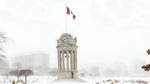 Winter wonderland 2010 by chirilas