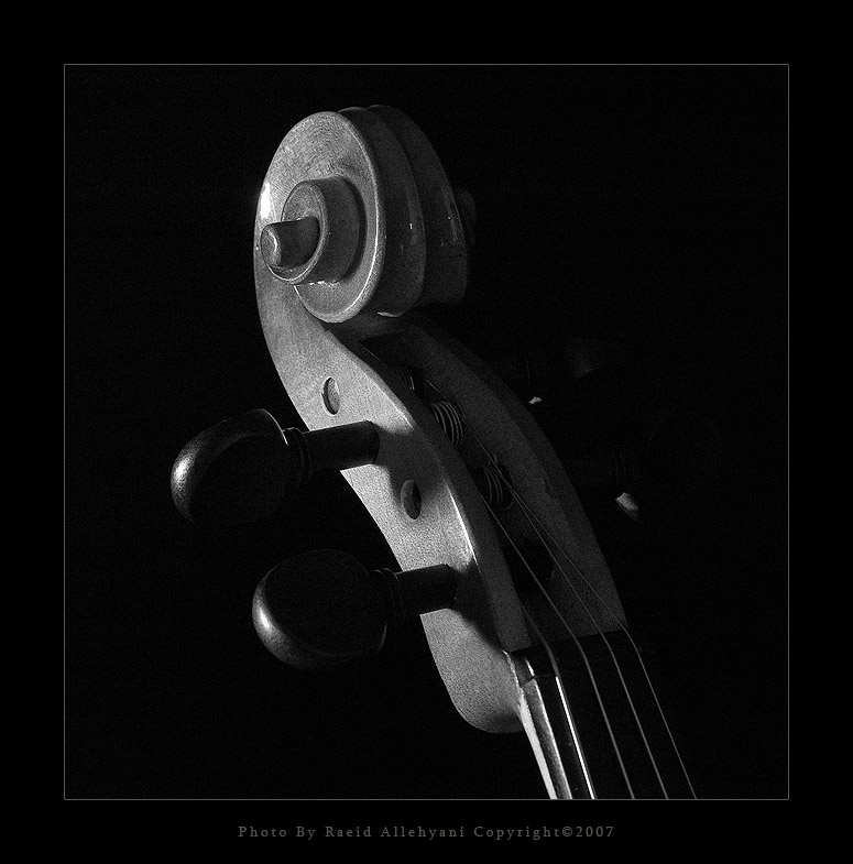 Violin