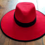 Carmen Sandiego Cosplay - The Hat