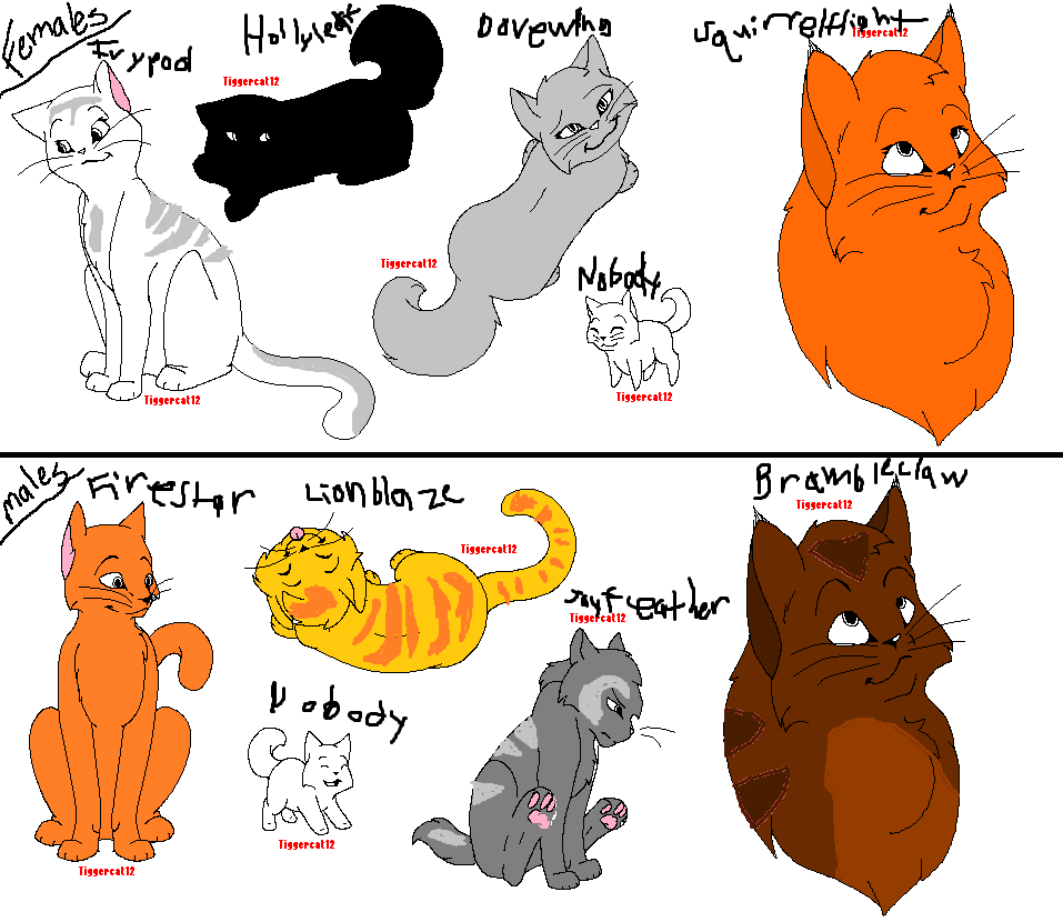 Warrior cats clans