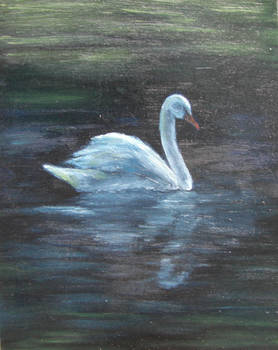 Swan