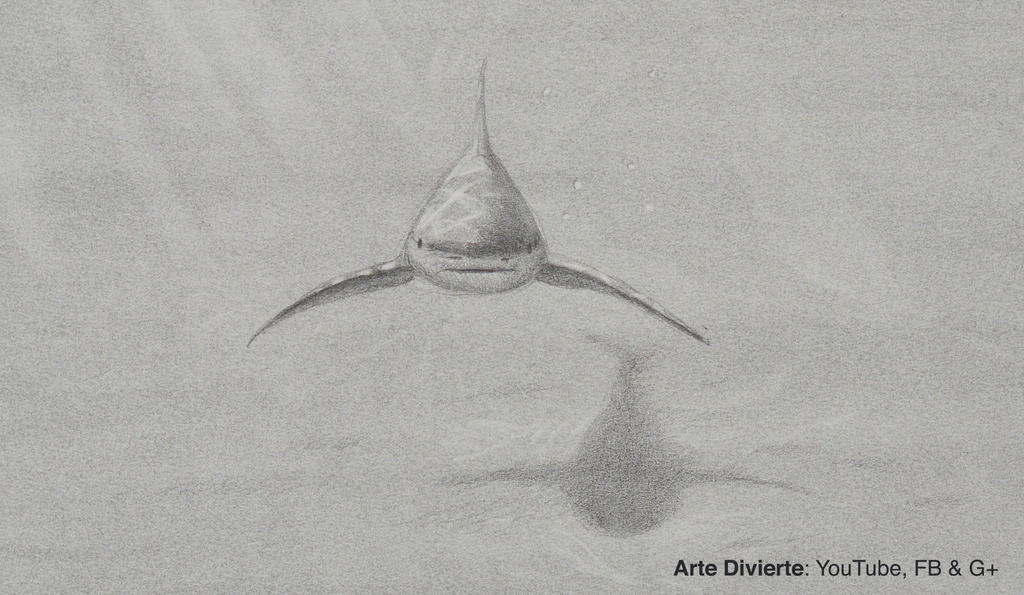 Como dibujar un tiburon - Boceto a lapiz by LeonardoPereznieto on DeviantArt