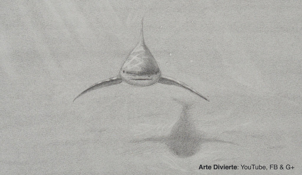 Como dibujar un tiburon - Boceto a lapiz by LeonardoPereznieto on DeviantArt Como dibujar un tiburon - Boceto a lapiz by LeonardoPereznieto on DeviantArt