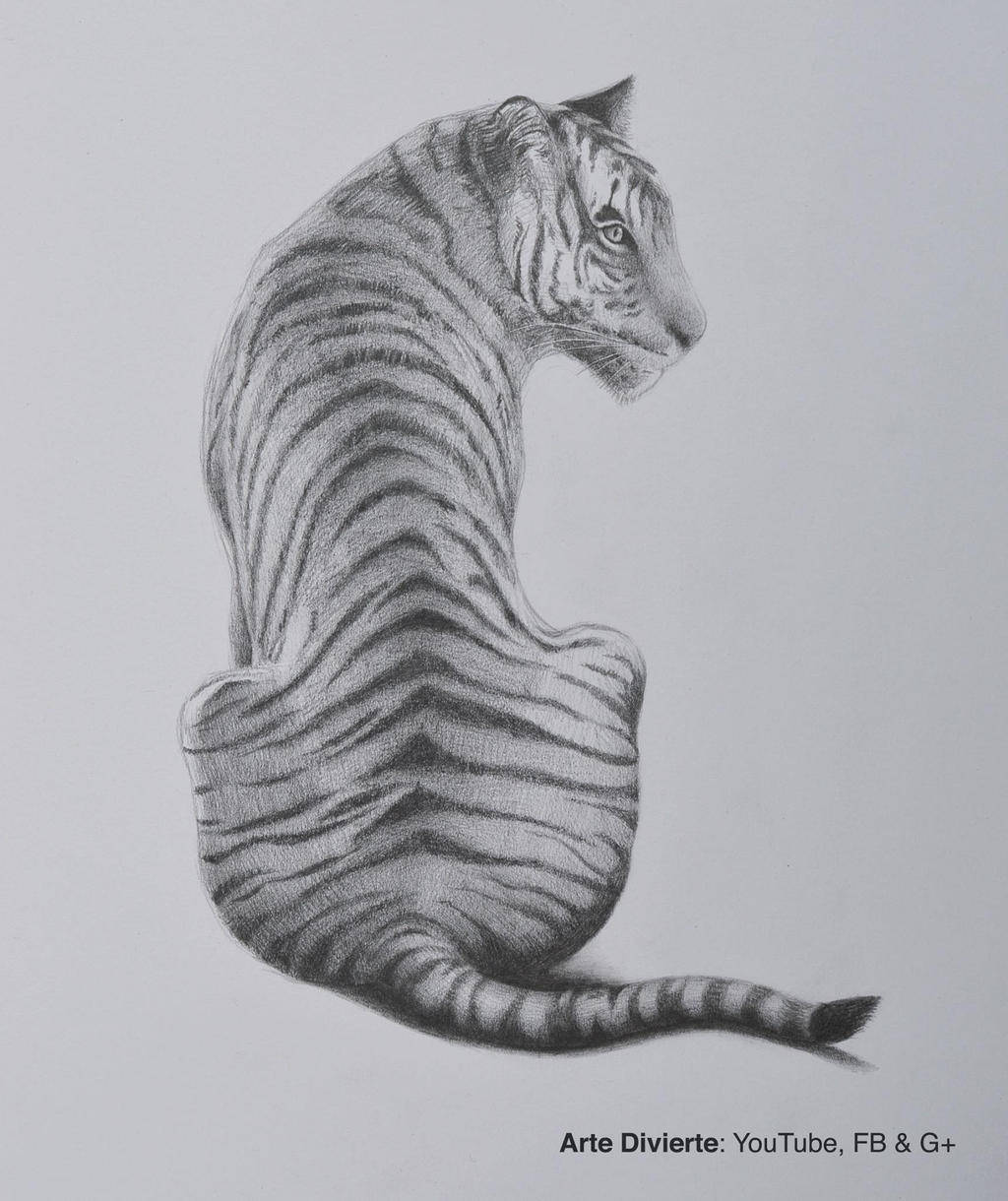 Como dibujar un tigre a lapiz by LeonardoPereznieto on DeviantArt