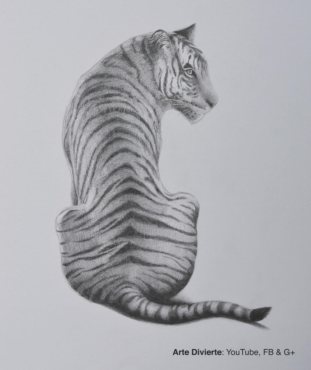 Como dibujar un tigre a lapiz by LeonardoPereznieto on DeviantArt Como dibujar un tigre a lapiz by LeonardoPereznieto on DeviantArt