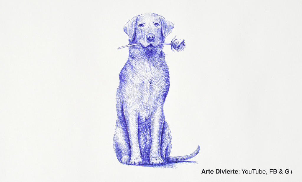 Como dibujar un perro labrador retriever by LeonardoPereznieto on DeviantArt Como dibujar un perro labrador retriever by LeonardoPereznieto on DeviantArt