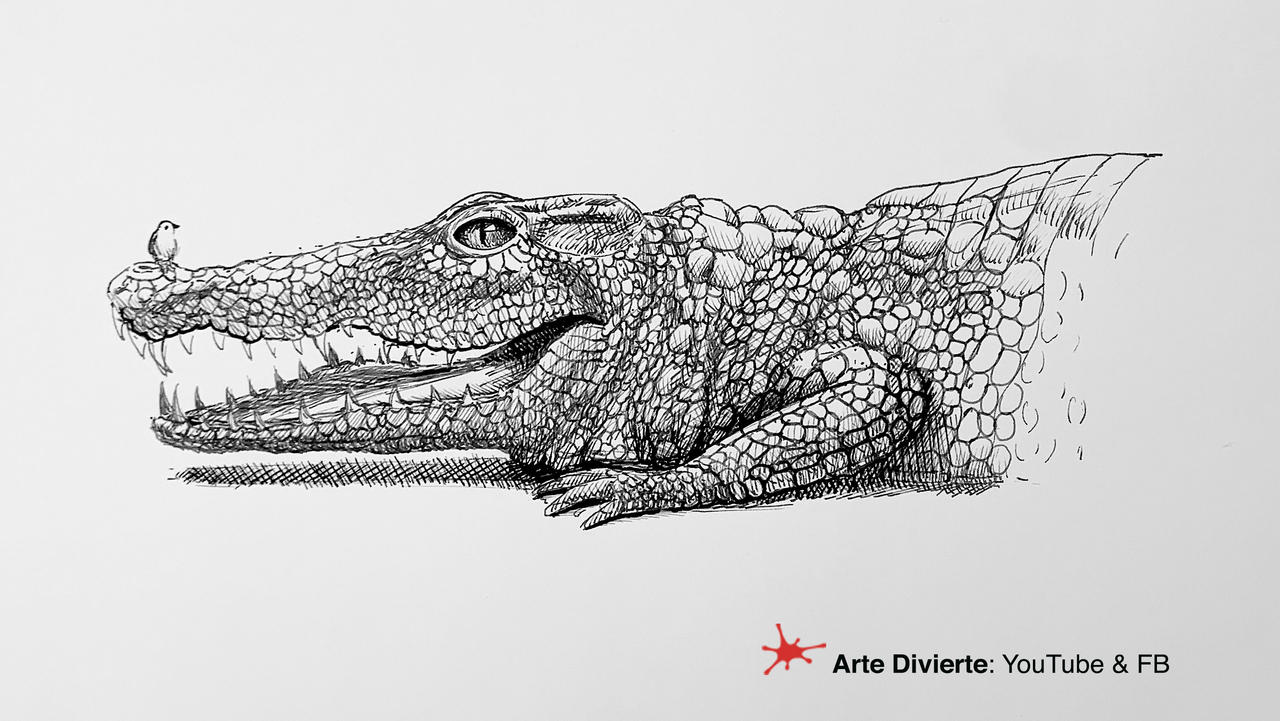 COMO DIBUJAR UN COCODRILO CON TINTA - Timelapse by LeonardoPereznieto on DeviantArt COMO DIBUJAR UN COCODRILO CON TINTA - Timelapse by LeonardoPereznieto on DeviantArt