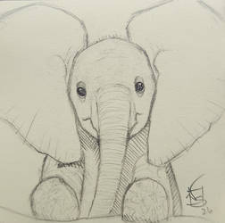 Baby elephant (sticky note)