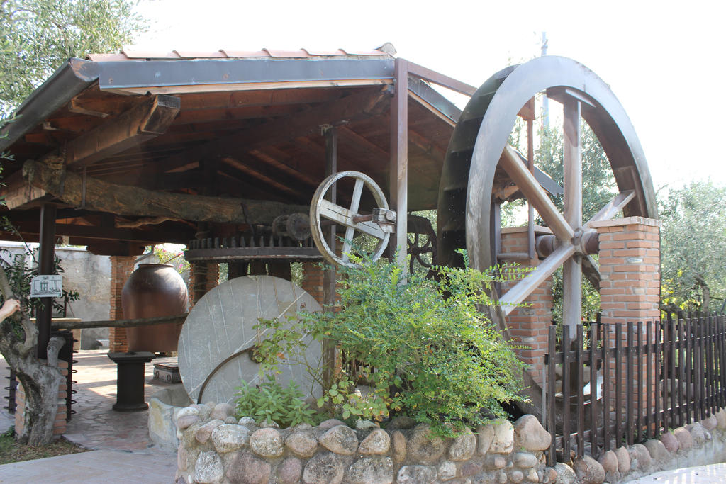 Italian olive oil mill